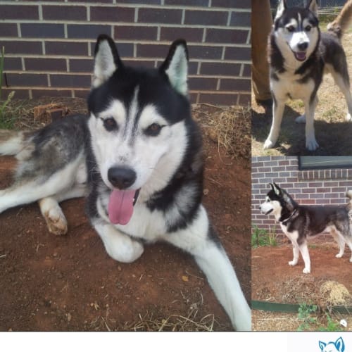 No photo for ***On Trial*** Barkley