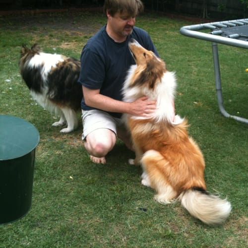 Rufus ****On Hold*****