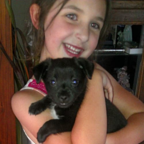 Pipsqueak Blackie