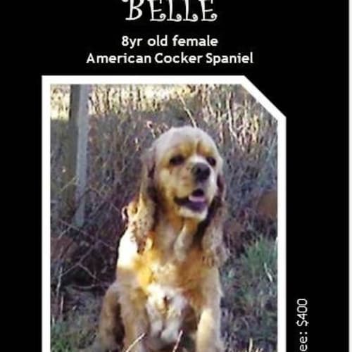 Belle