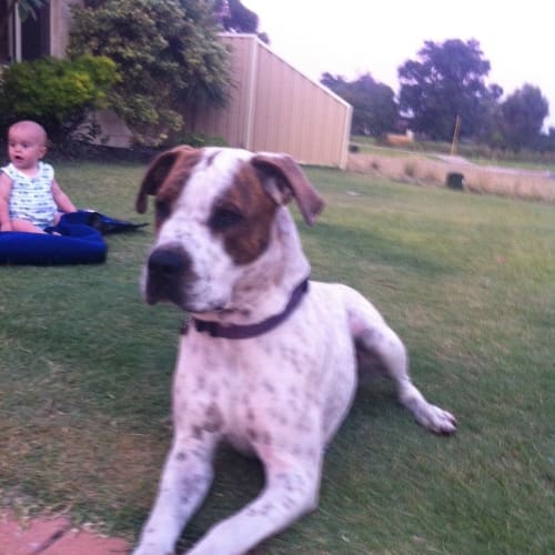 No photo for Knox