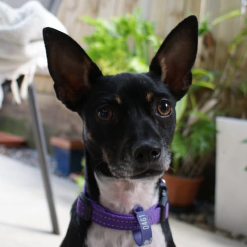 No photo for Matilda