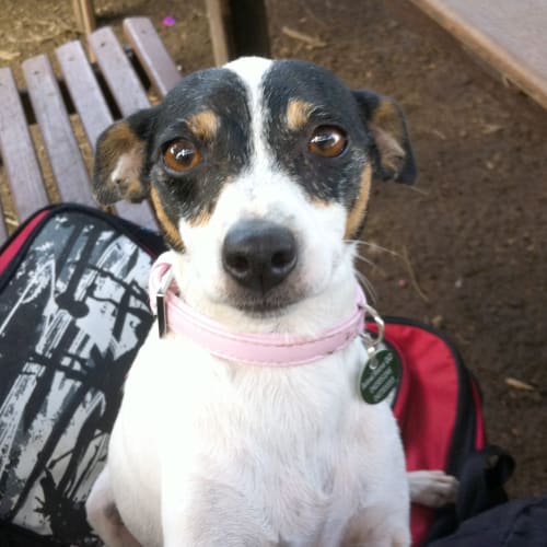 No photo for Prudence