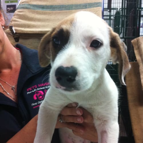 No photo for Ferrett