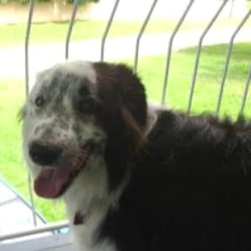 No photo for Earl Spotswood