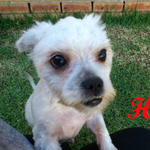 No photo for Sugar (On Trial)