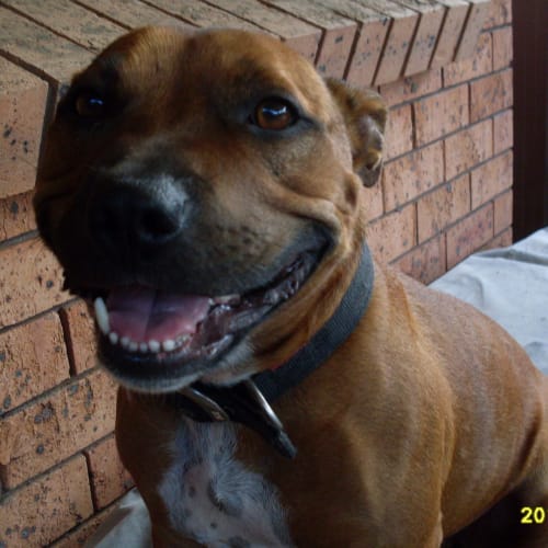 No photo for Atlas(on Hold)