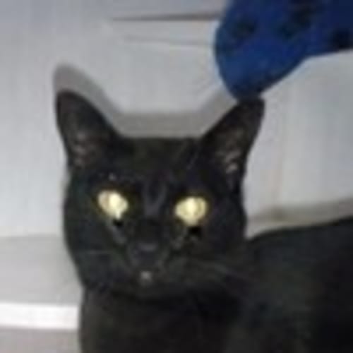 No photo for Eugegne