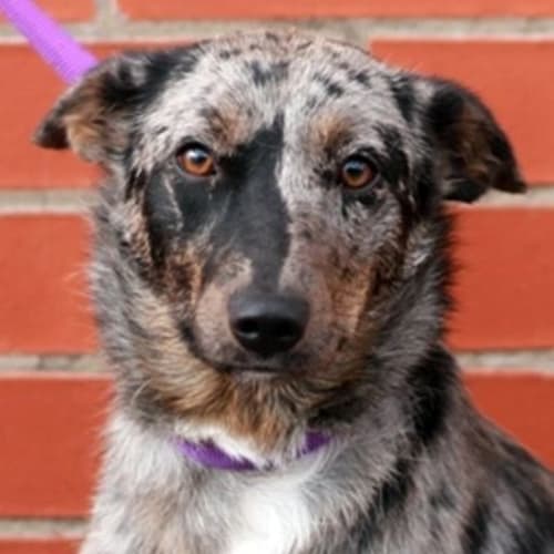 No photo for May 462555