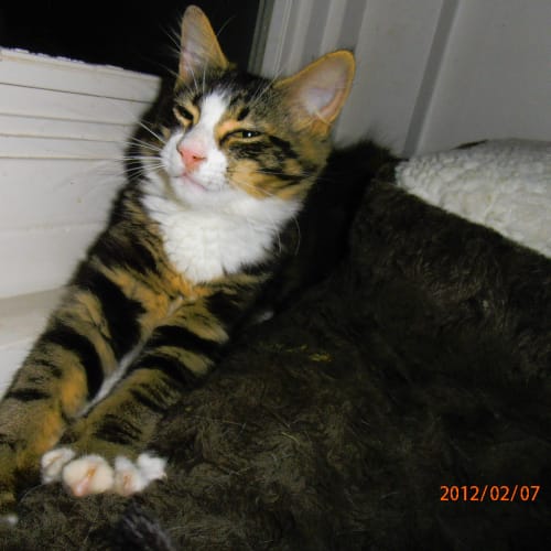 No photo for Scarlett