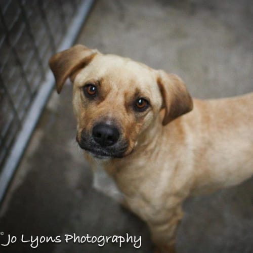 No photo for Colby   Foster Carer Needed