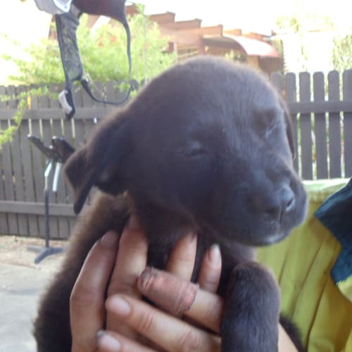 No photo for Princess