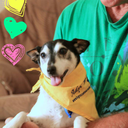 No photo for Fred (On Trial)