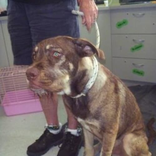 No photo for Winston 