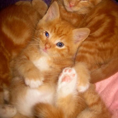 No photo for Gem And Diamond