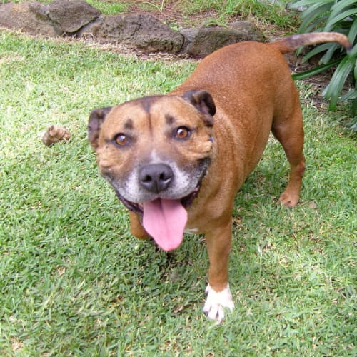 No photo for Griff   I Love Cats And Love Kids!!!!