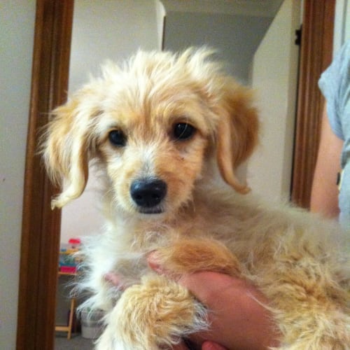 No photo for Fanta On Hold