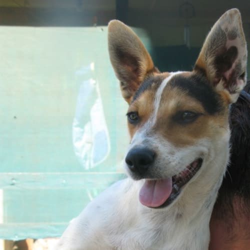 No photo for Tiffany