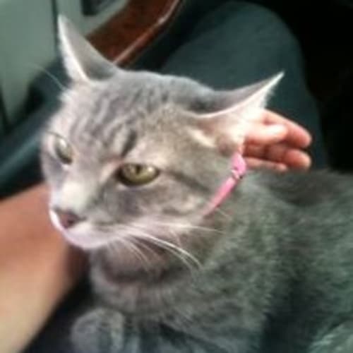 Narla