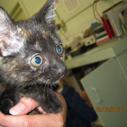 No photo for Penelope