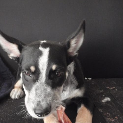 No photo for **On Trial With My New Family** Bundy
