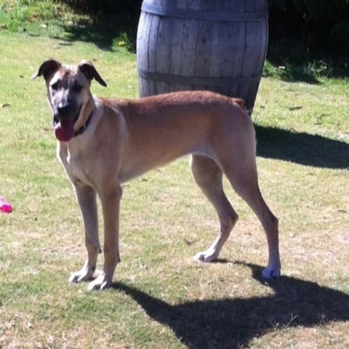 No photo for **On Trial With My New Family** Sky