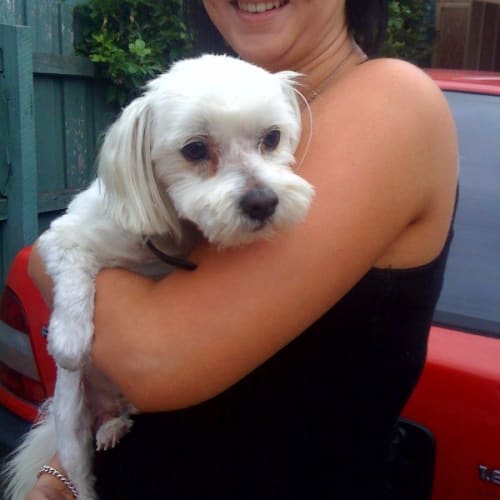 Oscar *Adoption Pending*
