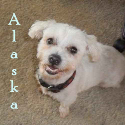 Alaska (On Trial 11/12/13)