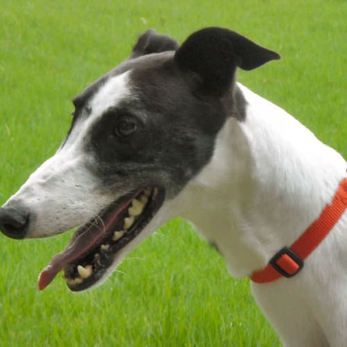 Jamie - Checking Out My New Home