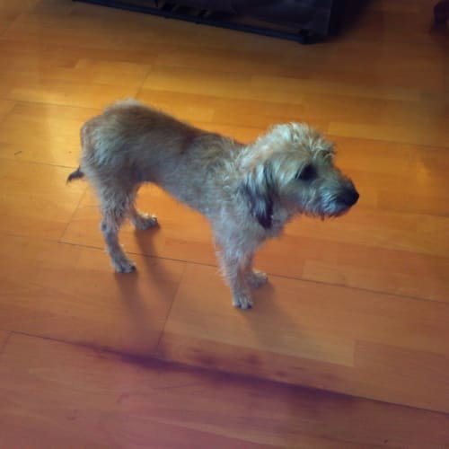 No photo for Lottie
