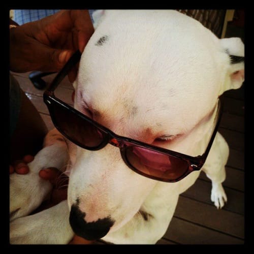 Boris - Bubbly Beautiful Boy