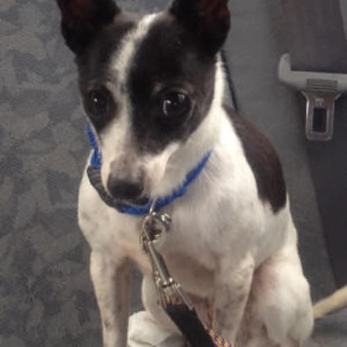 Daisy-Mae Is Trying A New Home!!