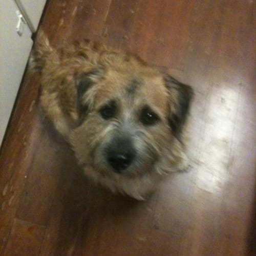 Bert Hd048 ** On Trial**