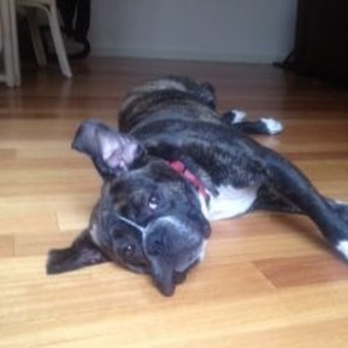 No photo for Jedda