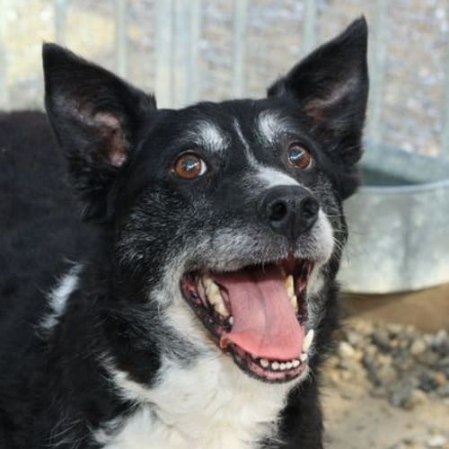 Maggie 729484