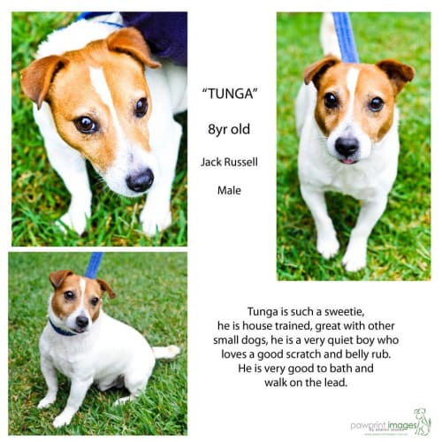 No photo for Tunga