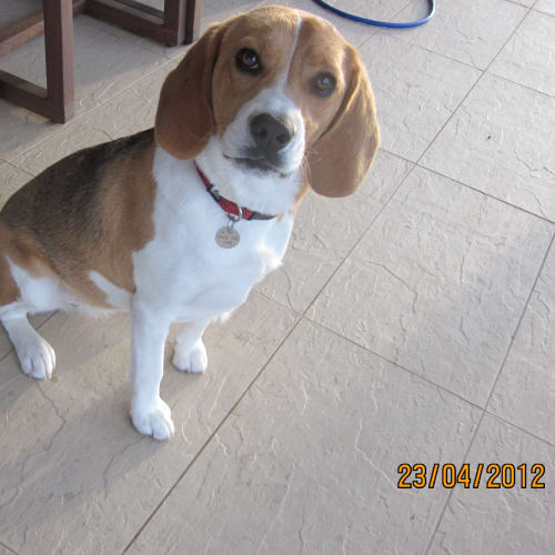 Molly