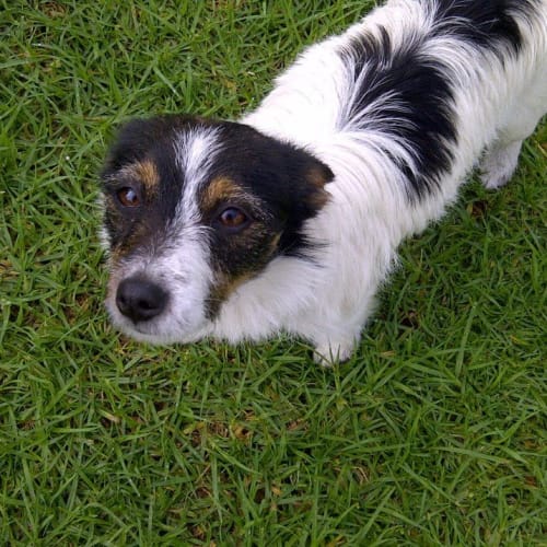 No photo for Lucy   Gone On Trial