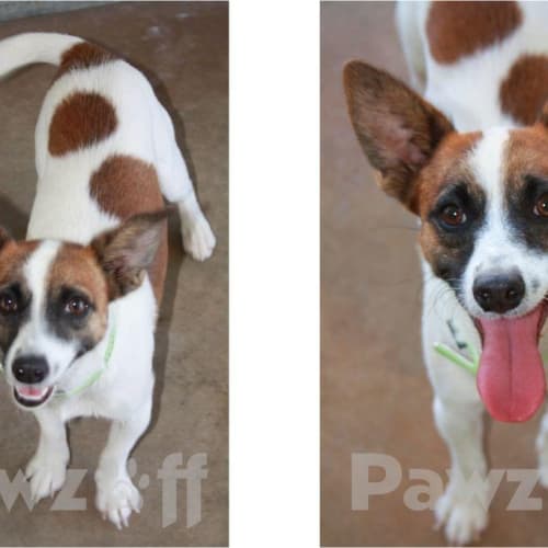 No photo for Lewie   Id:171/12