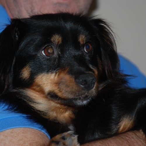 No photo for **On Trial In My New Home** Delilah