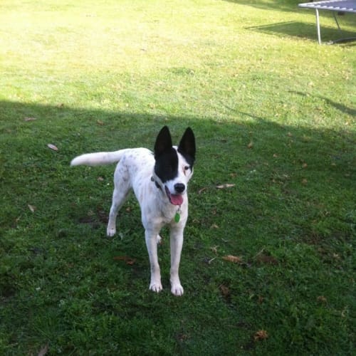 Major .... *****No More Calls Please****