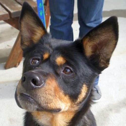 No photo for Gemma 375569