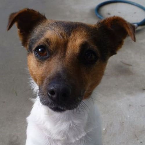 No photo for Tiny 375570