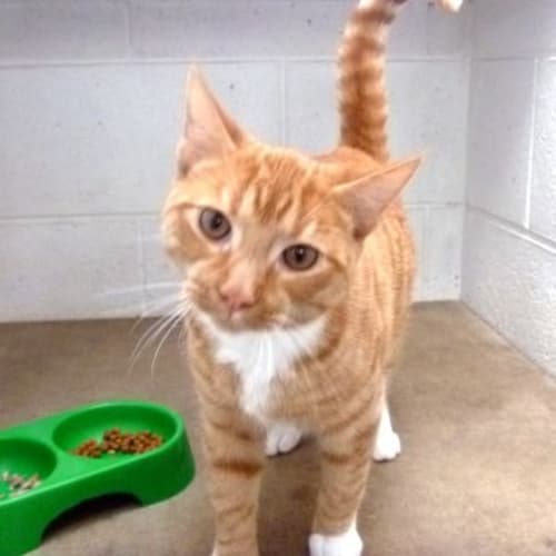 No photo for Warner 449262b