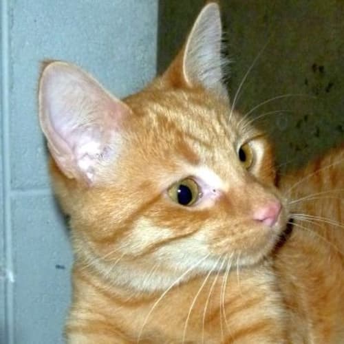 No photo for Vicki 449294