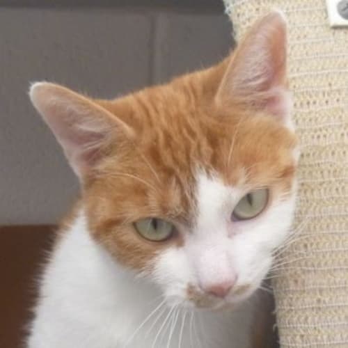 No photo for Patty 449250a