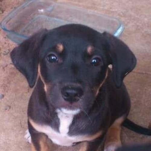 No photo for **On Trial With My New Family** Skye