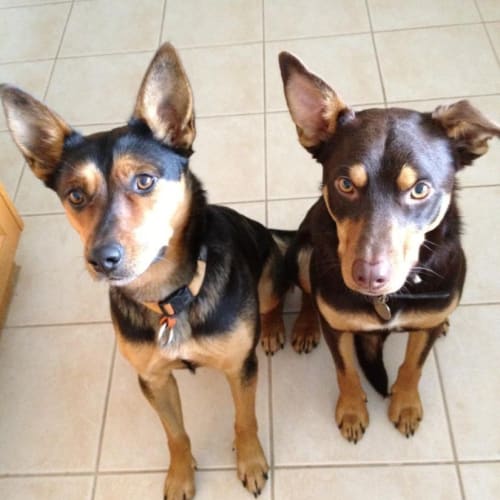 No photo for Tucker *On Trial With My New Family*