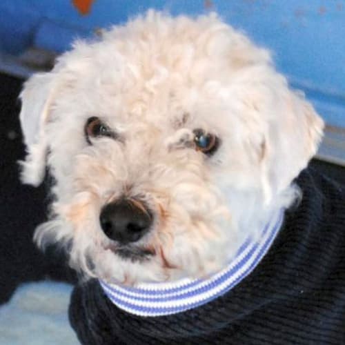 No photo for Larry 730854