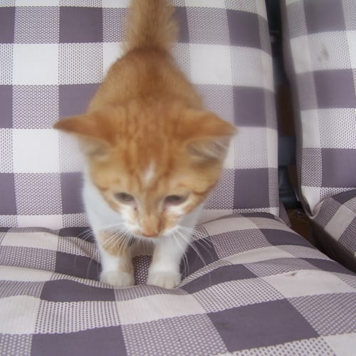 No photo for Libby
